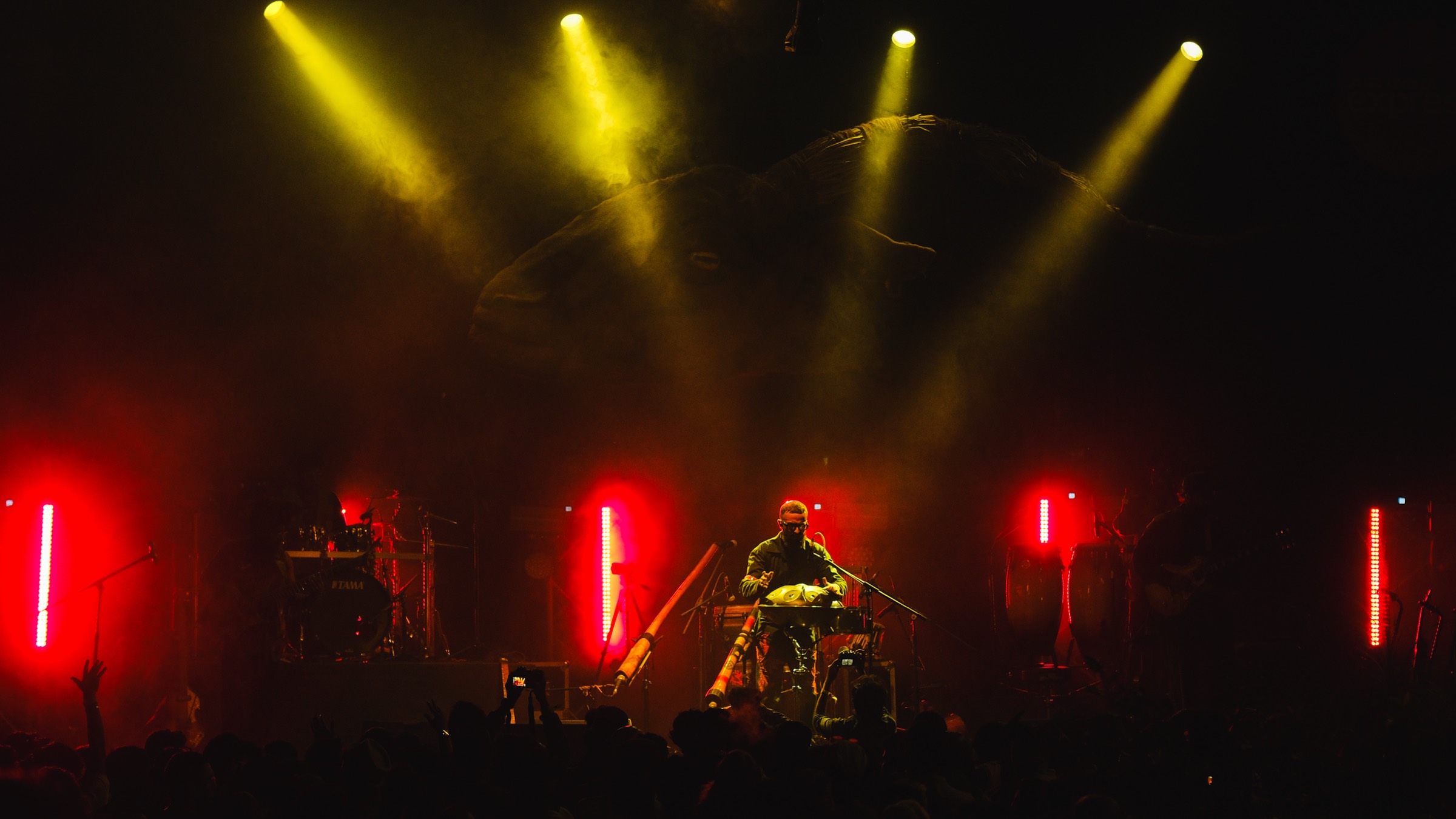 A live performance beneath the AIX installation at Bloom in Green